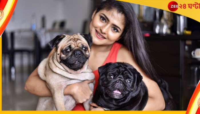Aindrila Sharma: ঐন্দ্রিলার গন্ধ নেই কম্বলে, ছিঁড়ে ফেলল তোজো-বোজো