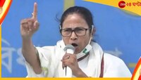 মোরবি দুর্ঘটনা নিয়ে পোস্টের জেরে গুজরাতে গ্রেফতার তৃণমূলনেতা, ক্ষুব্ধ মমতা