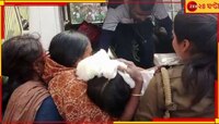 পরীক্ষা শেষ হতেই স্কুলের বারান্দা থেকে ঝাঁপ দিল নবম শ্রেণির ছাত্রী...