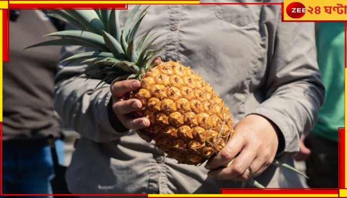 Most Expensive Pineapple: এক পিস আনারস এক লাখ টাকা! উত্তরবঙ্গে ফলবে? 