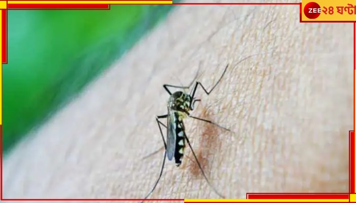 Zika virus: কোভিডের পরে চিন্তা বাড়াচ্ছে জিকা ভাইরাস, আক্রান্ত ৫ বছরের নাবালিকা