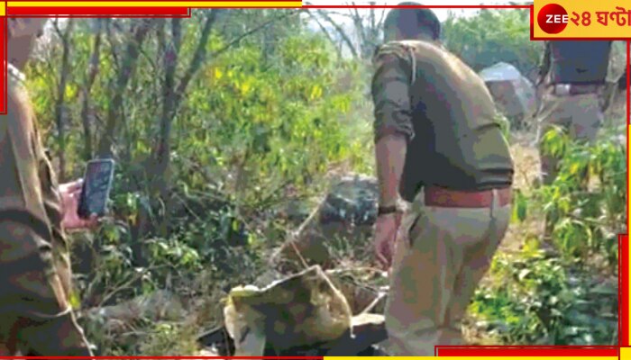 Haryana: সর্ষেখেতে গিয়ে চোখ ছানাবড়া কৃষকের, পড়ে থাকা ট্রলি ব্যাগ থেকে বেরিয়ে রয়েছে কাটা হাত-পা