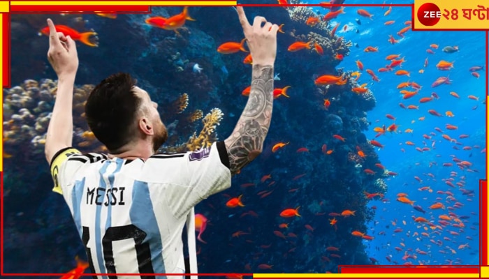 Watch | Lionel Messi: আরব সাগরের ১০০ ফুট গভীরে দাঁড়িয়ে LM10! ভাইরাল ভিডিয়ো দেখে থ ফুটবলবিশ্ব
