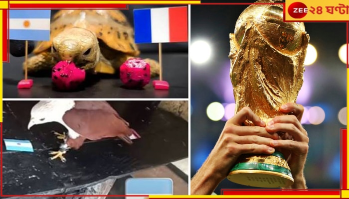 Argentina vs France | FIFA World Cup 2022: কচ্ছপ-ঈগল-শামুক-কুকুর-বিড়াল! প্রায় সবার বিচারেই কাপ মেসির...