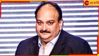 শীর্ষে চোকসি; ধার নিয়ে ফেরত দেননি এমন ৫০ শিল্পপতির ঋণের পরিমাণ কত, জানাল কেন্দ্র