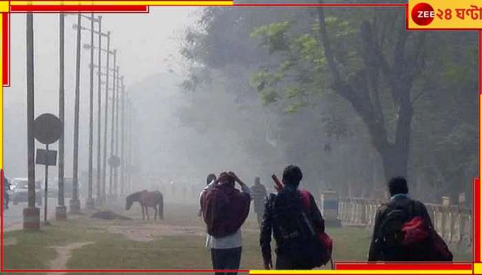 Weather Today: বড়দিনে কমল শীতের দাপট, কুয়াশার চাদরে ঢাকল তিলোত্তমা