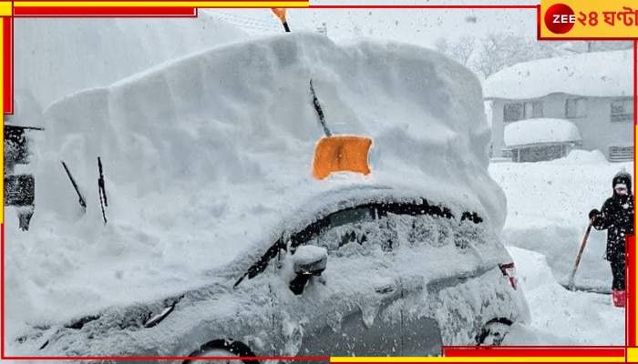 Heavy Snow in Japan: তুষারপাতের কবলে জাপান! মৃত ১৭, আহত বহু...