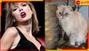 Taylor Swift's Cat: বিশ্বের অন্যতম ধনী পোষ্য অলিভিয়া! বিড়ালের সম্পত্তির পরিমাণ জানলে ভিরমি খাবেন