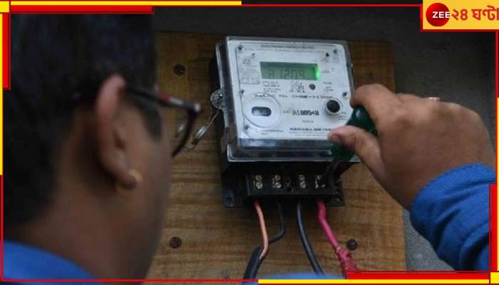 Electricity Bill Check: আলো জ্বালালেও বিল আসবে &#039;শূন্য&#039;! সাশ্রয় হবে টাকাও, কীভাবে? 