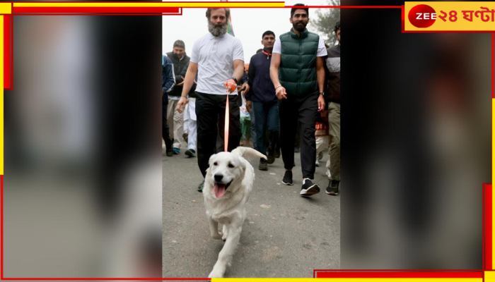 Bharat Jodo Yatra: 'লুনা'র একলিপ্স? ভারত জোড়া যাত্রায় কাকে 'অপহরণ করা হয়েছে' বলে উদ্বিগ্ন প্রিয়ঙ্কা গান্ধী বঢরা...