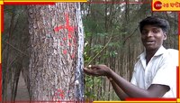 নিমগাছ থেকে বেরিয়ে আসছে দুধের ধারা! লোক ভিড় করছে দেখতে, সংগ্রহ করতেও...