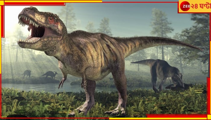 Remains of Dinosaurs in Chile: পরিত্যক্ত উপত্যকায় মিলল ডাইনোসরের খোঁজ! বিস্ময়ের ঘোর যেন কাটছে না বিজ্ঞানীদের...