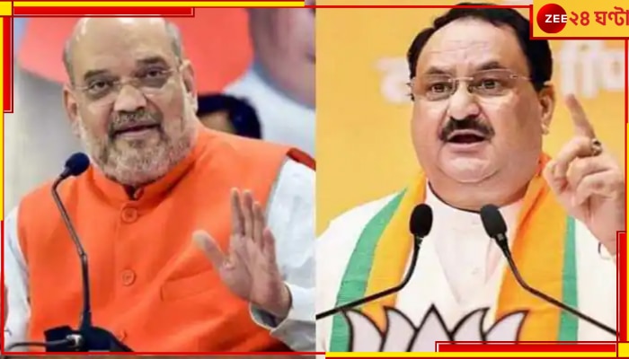 Amit Shah, JP Nadda: বড় ঘোষণা অমিত শাহের, ২০২৪ সালের জুন পর্যন্ত বিজেপি-র সভাপতি পদে বহাল নাড্ডা  