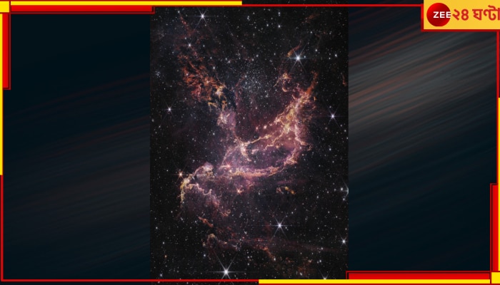 Star Formation: নক্ষত্রের জন্ম? জেমস ওয়েব টেলিস্কোপে ধরা পড়ল এক মহাজাগতিক ফিতের ছবি! 