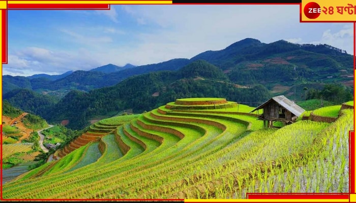 Thailand: নাম দুসিত, বিক্রি করছেন তাজা বাতাস; জেনে নিন তাঁর খামারের হাওয়ার দাম কত... Thailand: নাম দুসিত, বিক্রি করছেন তাজা বাতাস; জেনে নিন তাঁর খামারের হাওয়ার দাম কত...