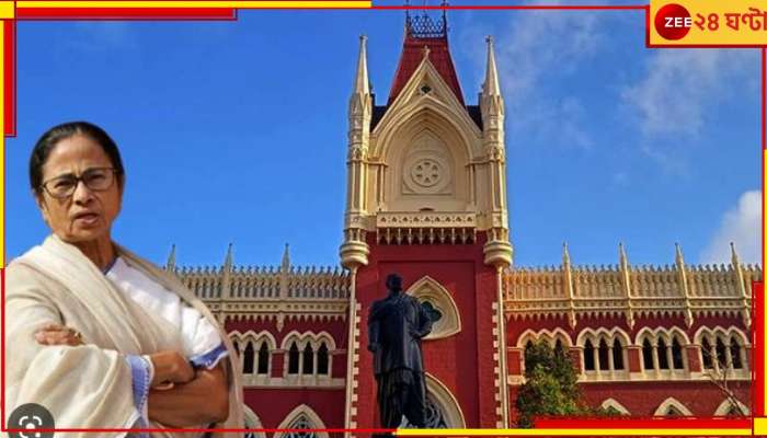 Calcutta High Court: কেন্দ্রীয় প্রকল্পের টাকা নয়ছয়? রাজ্যের বিরুদ্ধে জনস্বার্থ মামলা হাইকোর্টে