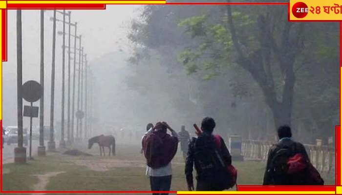 Bengal Weather Update: লাফিয়ে বাড়ছে দিন ও রাতের তাপমাত্রা, বাংলা থেকে উধাও শীতের আমেজ