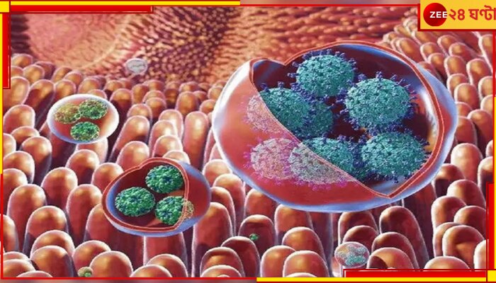 Norovirus in India: করোনার পর এবার চোখ রাঙাচ্ছে নোরোভাইরাস! জেনে নিন কী করলে বাঁচবেন এর হাত থেকে... Norovirus in India: করোনার পর এবার চোখ রাঙাচ্ছে নোরোভাইরাস! জেনে নিন কী করলে বাঁচবেন এর হাত থেকে...