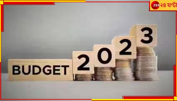 Budget 2023: কোথায়, কখন, কীভাবে দেখবেন কেন্দ্রীয় সরকারের বাজেট পেশ