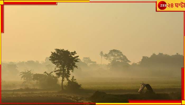 Weather Today: আরও নামল পারদ, কতদিন থাকবে ঠান্ডা? জানাল আবহাওয়া দফতর