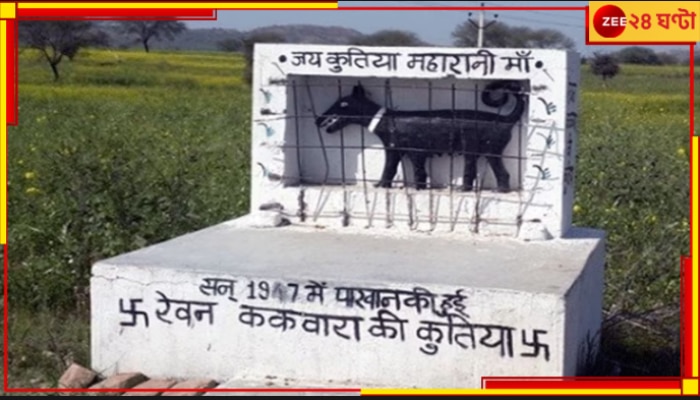 Kutiya Maa Temple in UP: ভারতের এই জায়গায় গেলে কুত্তা মাইয়ার মন্দিরে আপনাকে মাথা ঠুকতেই হবে!