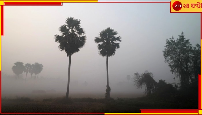 Weather Update: সোমবার থেকে নামবে পারদ, শীতের বিদায় কবে জানিয়ে দিল হাওয়া অফিস