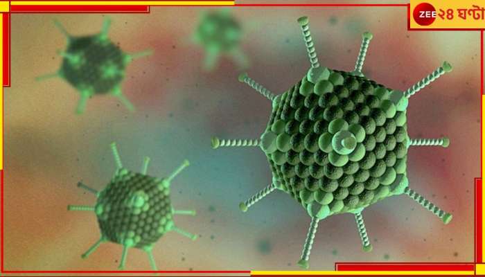Adenovirus spike in West Bengal: বসন্তের মরসুমে বাংলায় বাড়ছে অ্যাডিনো-প্রকোপ! কোন উপসর্গে বুঝবেন আপনিও আক্রান্ত কি না? 