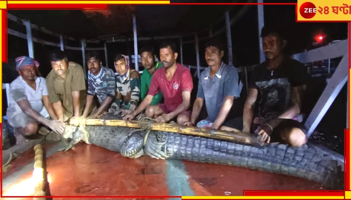 Crocodile Caught: পুকুরপাড়ে ছাগল চিবিয়ে খাচ্ছে কুমির; ঘুম ছুটল পাড়ার লোকের...