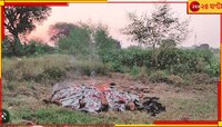 হাথরাস গণধর্ষণ ও খুনে ৩ অভিযুক্তকেই বেকসুর খালাস....