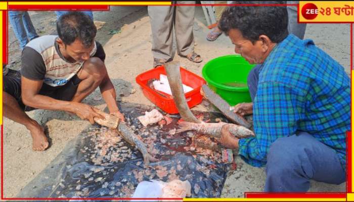 Jalpaiguri: এবার &#039;দুয়ারে জ্যান্ত মাছ&#039;, রাজ্য সরকারের বিশেষ ভ্রাম্যমান গাড়ি বেরোল রাস্তায়