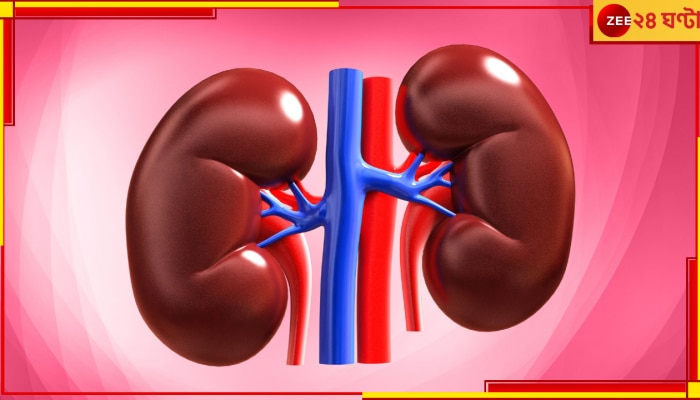 World Kidney Day: কী ভাবে এড়াবেন কিডনির মারণ অসুখ? মাত্র এই ক&#039;টি বিষয় মেনে চলুন...
