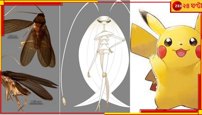 Pokémon&#039;s &#039;Pheromosa&#039;: গল্প হলেও সত্যি?আরশোলার নতুন প্রজাতি যেন কার্টুনের বিখ্যাত চরিত্র...