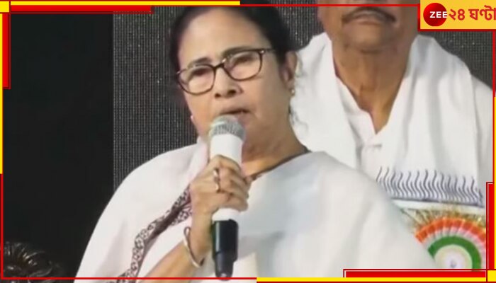 DA Movement, Mamata Banerjee: রাজ্য সরকারের চাকরি করলে রাজ্যেরই ডিএ পাবেন&#039;,  অবস্থানে অনড় মমতা