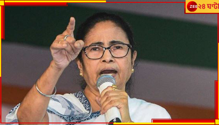 Mamata Banerjee:  'জোর করে জমি অধিগ্রহণ নয়', শিল্পপতিদের সঙ্গে বৈঠকে বার্তা মুখ্যমন্ত্রীর 