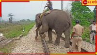 আর ট্রেনের ধাক্কায় বেঘোরে প্রাণ যাবে না হাতির...