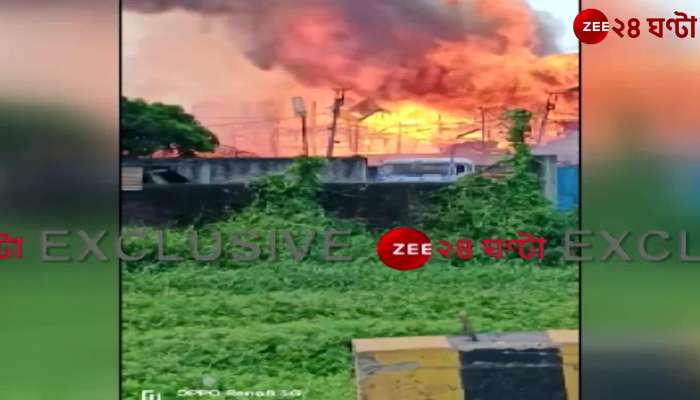 40 cows burnt in illegal cattle shed in Dankuni