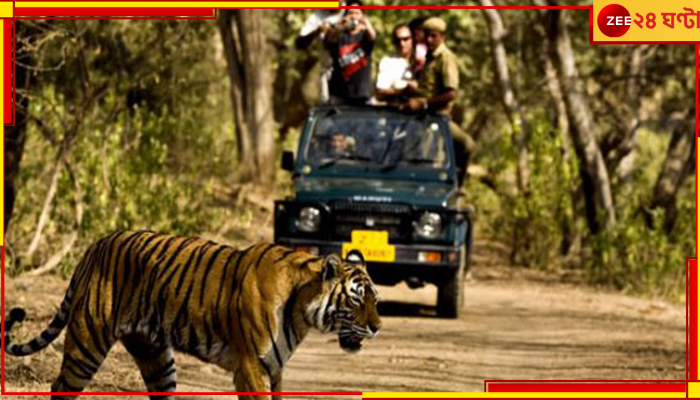 Insurance for Tourist: মেয়াদ মাত্র ৩-৪ ঘণ্টা! পর্যটকদের জন্য জীবনবিমা করাবে বন দফতর....