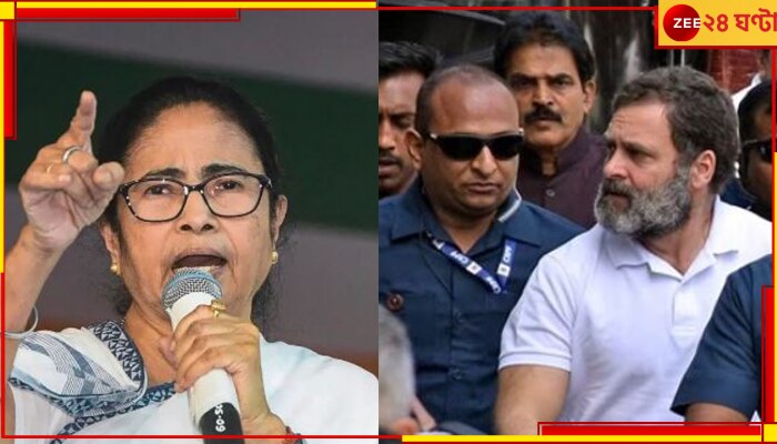 Mamata Banerjee: &#039;রাহুল গান্ধী যদি বিপদে পড়তে পারেন, সরকারি কর্মচারীদের গাল দিয়ে মমতা কেন নন&#039;!