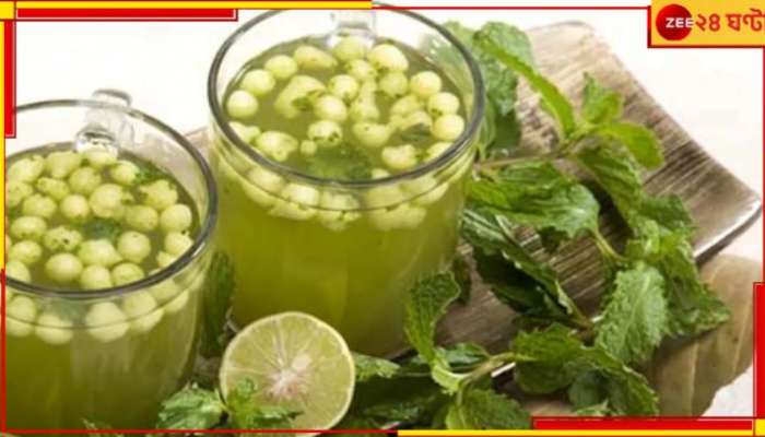 Summer Drink: গরমে হাঁসফাঁস করছেন? এই পানীয়টি পরখ করে দেখুন, কাজ হবে ম্যাজিকের মতো...