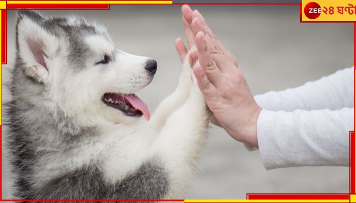 National Pet Day 2023: জেনে নিন একটি পোষ্য আপনার শরীর-স্বাস্থ্যের পক্ষে ঠিক কতটা ভালো, কতটা গুরুত্বপূর্ণ...