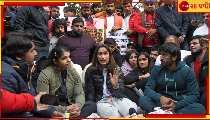 Wrestlers Protest Updates: ব্রিজভূষণ নির্দোষ! তদন্ত কমিটির মতে বড় ধাক্কা খেলেন ভিনেশ ফোগাট, সাক্ষী মালিকরা 