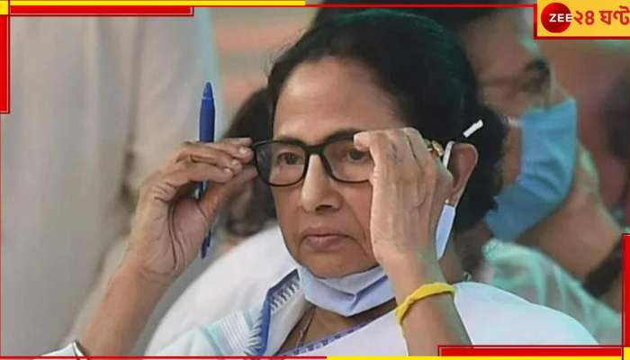 Panchayat Election | Mamata Banerjee: কবে পঞ্চায়েত ভোট? মুখ্যমন্ত্রীর কথাতেই মিলল ইঙ্গিত