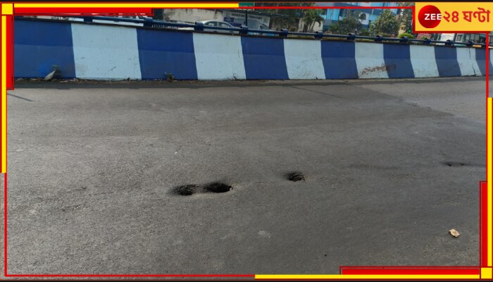 Chingrihata Flyover: চিংড়িহাটা উড়ালপুলে একাধিক ফাটল, বসে গেল সেতুর রাস্তা; যান চলাচলে নিয়ন্ত্রণ