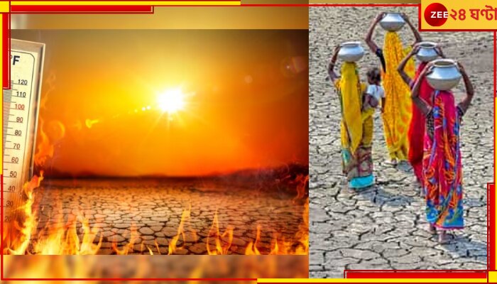 Heatwave: প্রায় ১৬০০০ প্রাণ কেড়েছে তাপপ্রবাহ! ভয়ংকর দাবদাহ আর কোন বিপর্যয় ঘটিয়েছে?