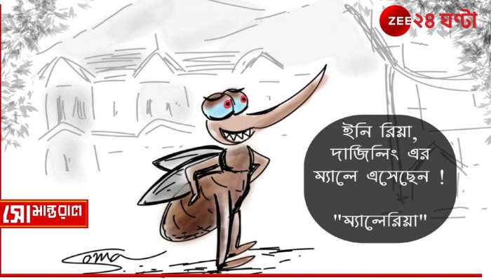 Week 5 | Daily Cartoon | সোমান্তরাল | আজ বিশ্ব ম্যালেরিয়া দিবস