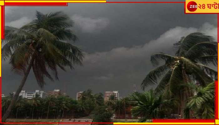 Bengal Weather Today: কালো মেঘে আকাশ ঢেকে, বৃষ্টি এল ঝেঁপে; জেলায় জেলায় ঝড়...