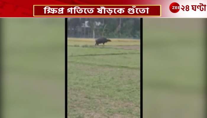 Bison entered the local area again clash with the bull in Alipurduar