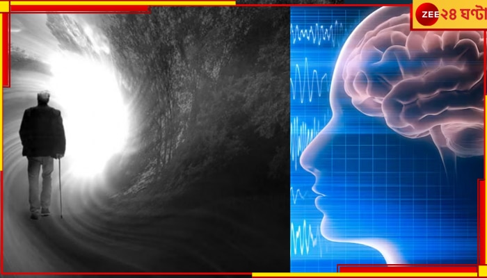 Mysterious Activity in Human&#039;s Brains: মানুষের মৃত্যুর পরেও থেকে যায় প্রাণ? এ কী বললেন বিজ্ঞানীরা!