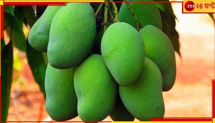 Green Mango: কাঁচা আম কি শুধুই সুস্বাদু? সুস্বাস্থ্যে এর গুণাগুণ জানলে চমকে যাবেন!