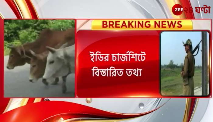 Smuggling of cows under the influence of BSF